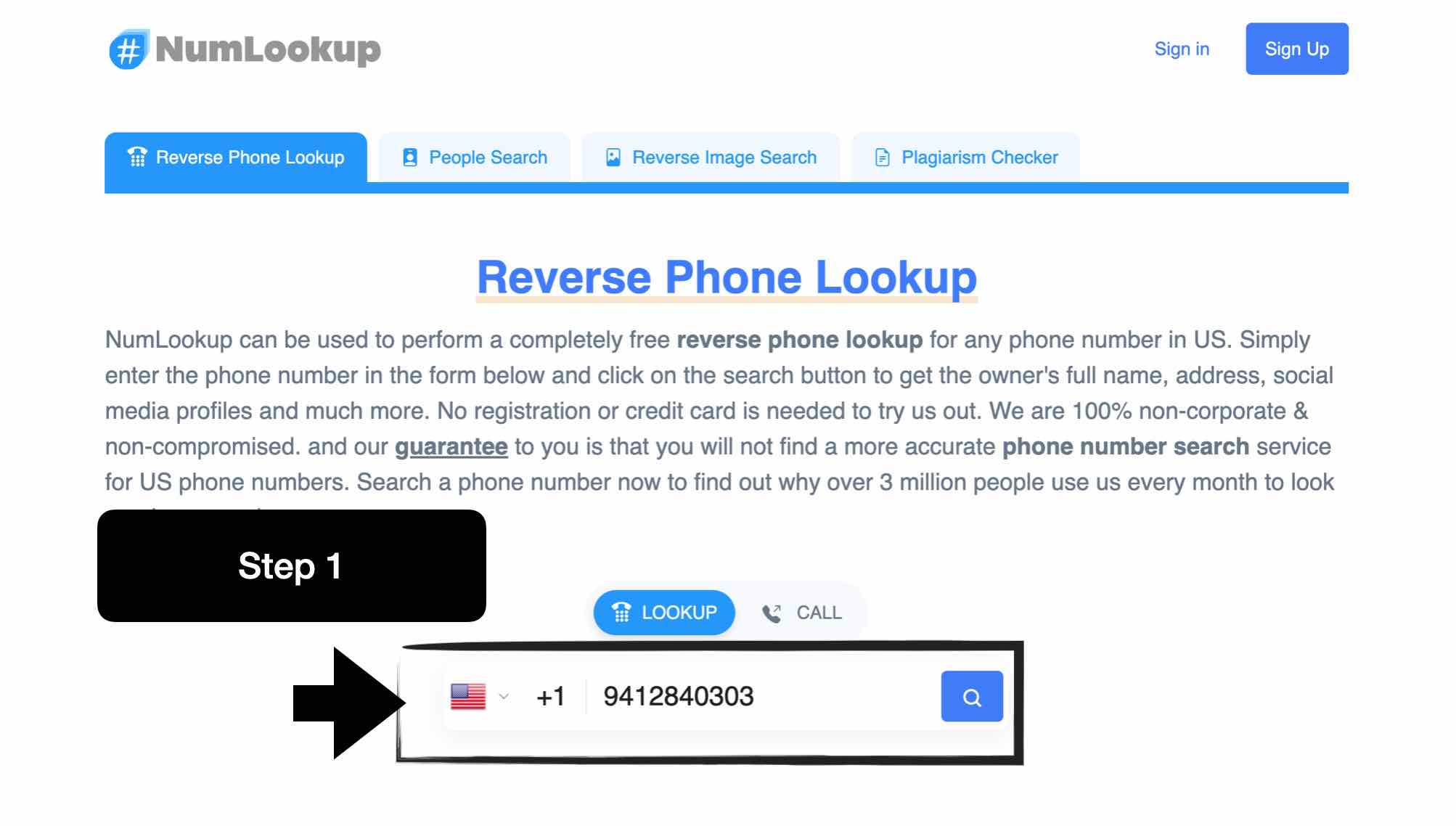 step 1: visit numlookup homepage